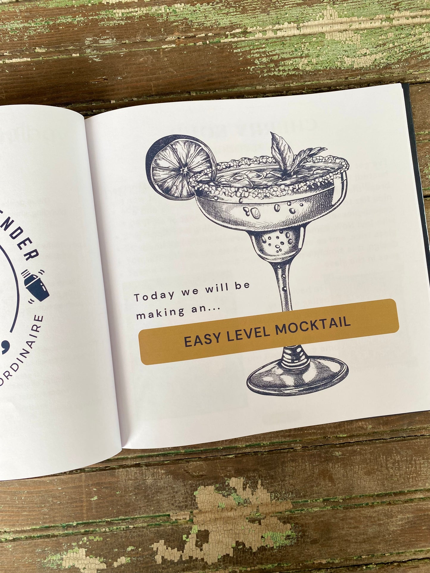 The Teenage Bartender's Mocktail Guide (Hardcover)