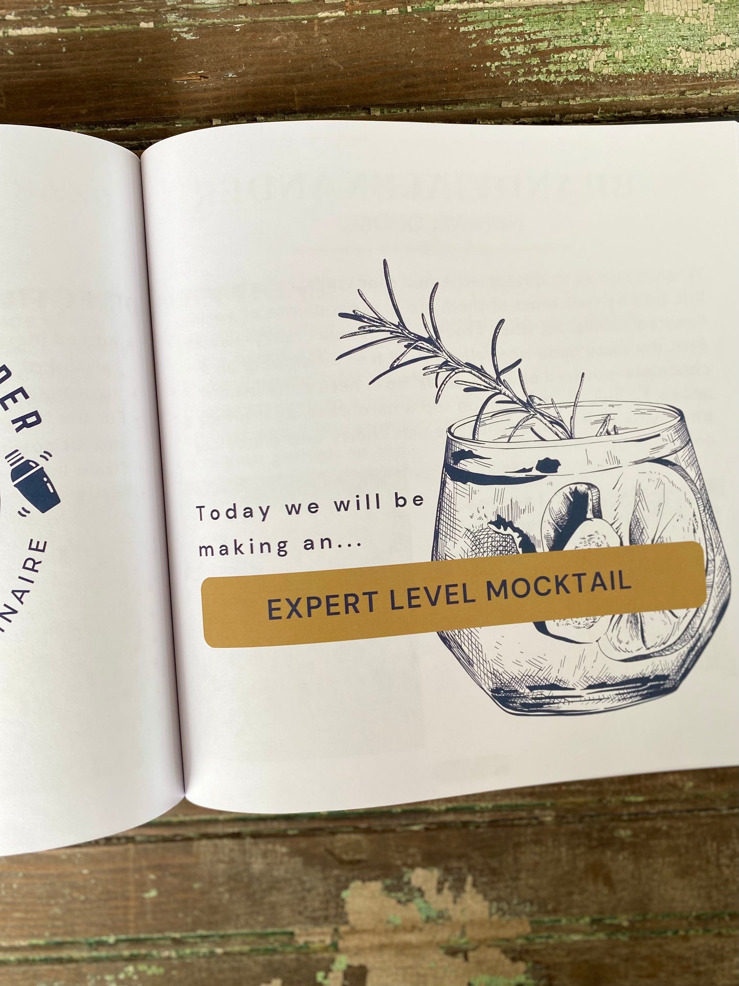The Teenage Bartender's Mocktail Guide (Hardcover)