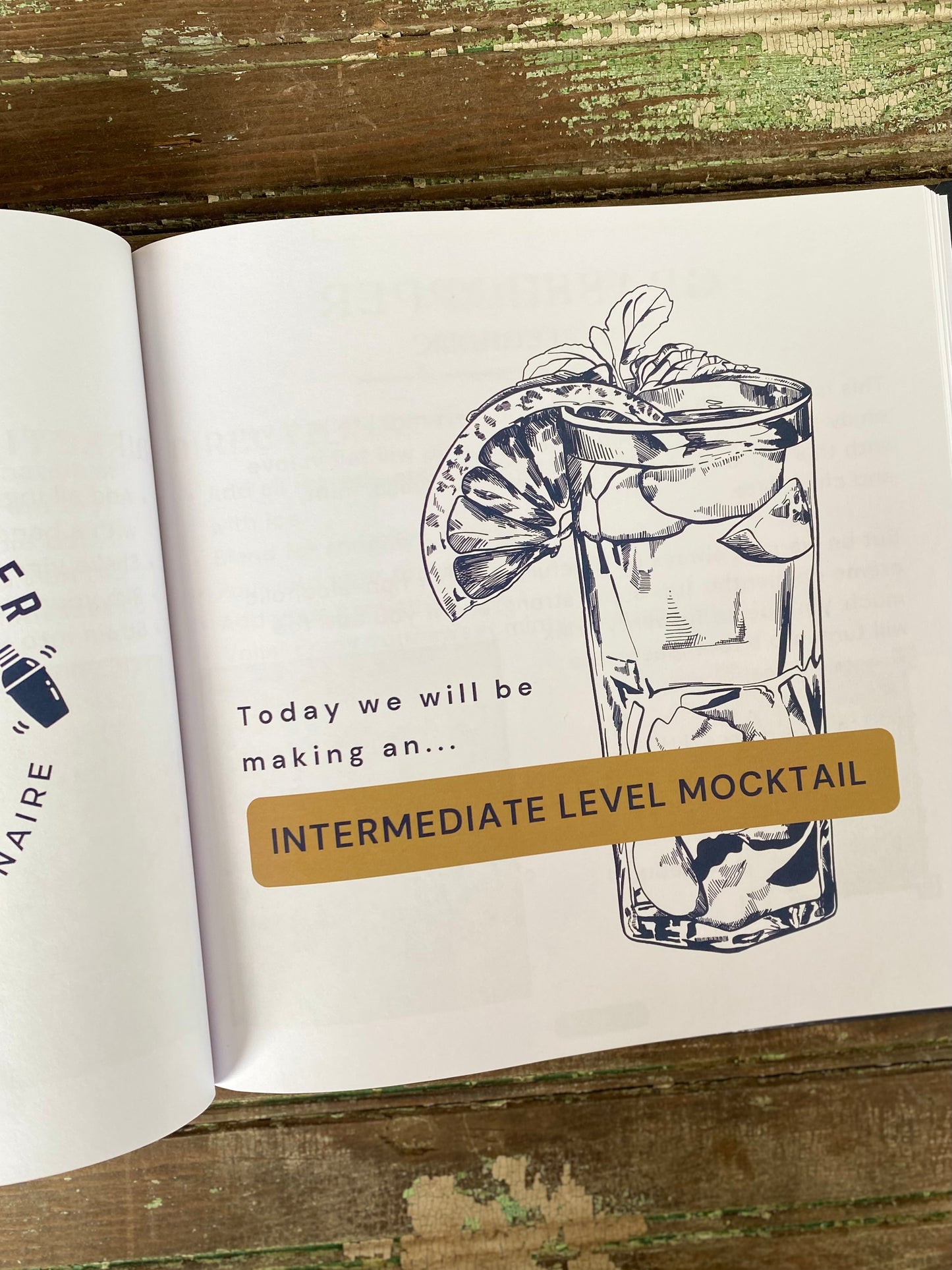 The Teenage Bartender's Mocktail Guide (Hardcover)